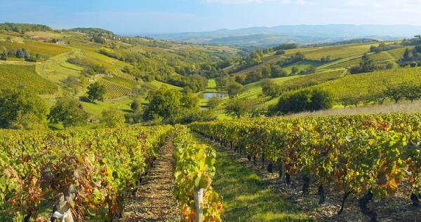 BEAUJOLAIS