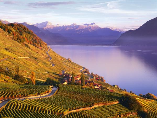 VIGNERONS DE CORSEAUX EN LAVAUX